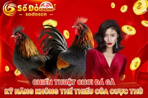 Chiến-Thuật-Chơi-Đá-Gà-Kỹ-Năng-Không-Thể-Thiếu-Của-Cược-Thủ