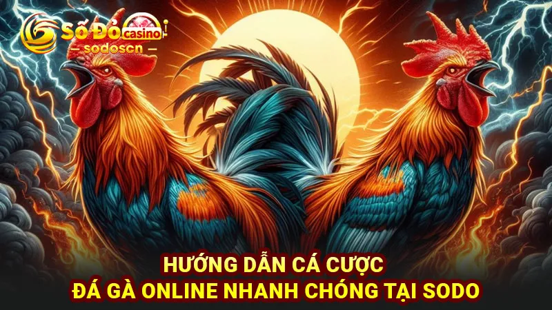 Hướng dẫn cá cược đá gà online nhanh chóng tại SODO