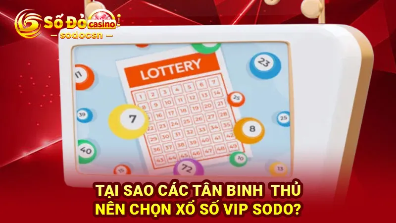Tại sao các tân binh thủ nên chọn xổ số VIP SODO?